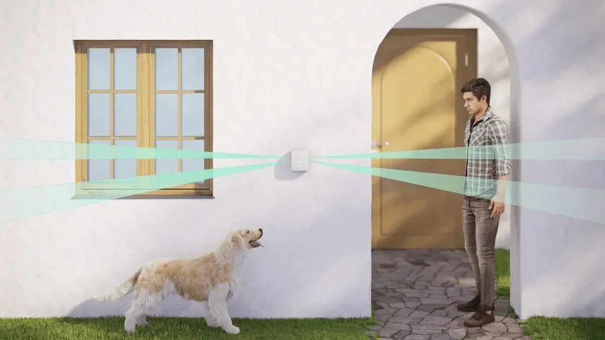 Ajax DualCurtain Outdoor – Professionel Udendørs Bevægelsesdetektor til Perimetersikring - Sikshop