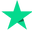 trust_pilot_icon