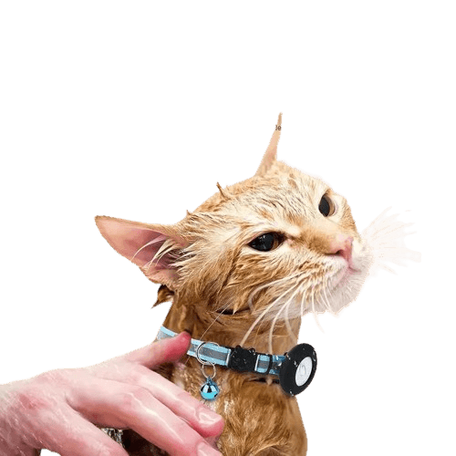MyKitty Halsbånd – Sort Justerbart Kattehalsbånd med plads til Airtag - SIKSHOP
